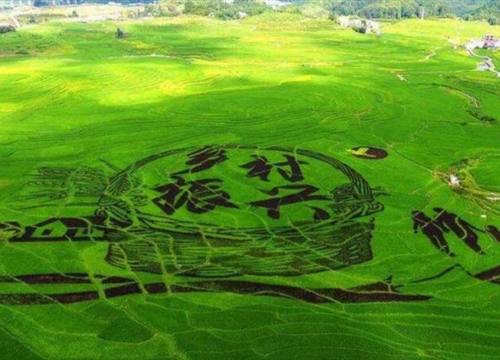 一線深化設(shè)計(jì)師總結(jié)的裝配式住宅水平預(yù)制構(gòu)件機(jī)電深化設(shè)計(jì)要點(diǎn)